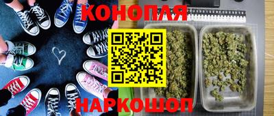 шишки Лесосибирск